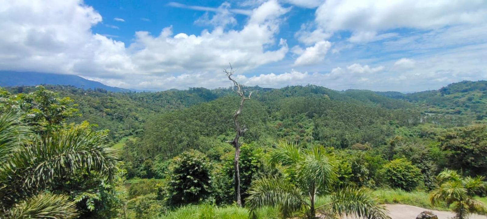 The Lake View Munnar Εξωτερικό φωτογραφία
